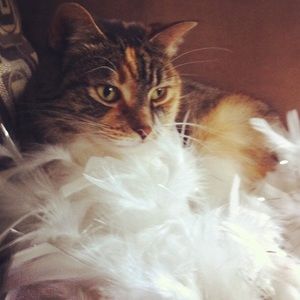 Meet your Posher, Jim